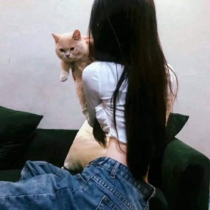 美女食神 在线观看